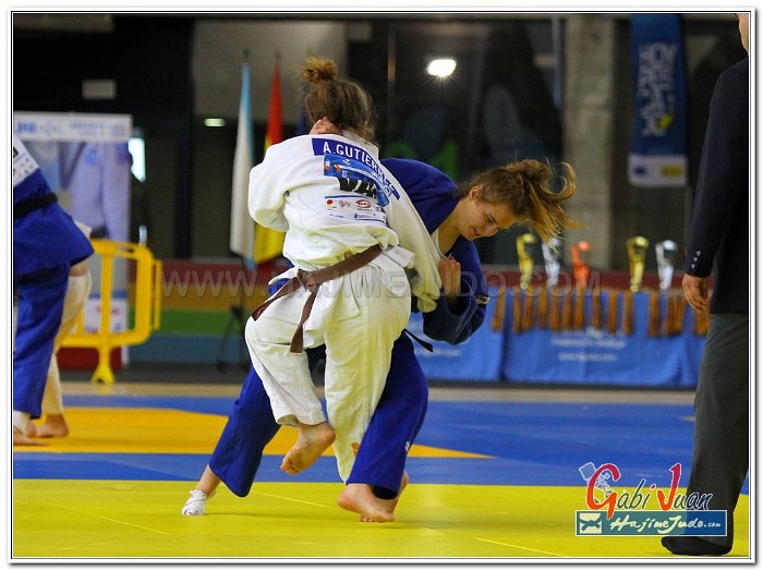 CEESCOLAR 20130029